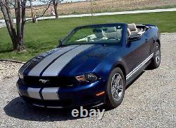 10 Twin Rally Stripe Stripes FIT Mustang FDC/3M Vinyls