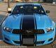 2010 2011 2012 2013 2014 Mustang 20 Wide Center Stripe Stripes Decals Graphics