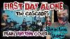 First Day Alone The Cascade Cover By Franz Rhythm Reaction Video