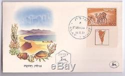 Israel Negev FDC Camel Half -Short Tab First Day Cover 1950 VF! Extrime Rare