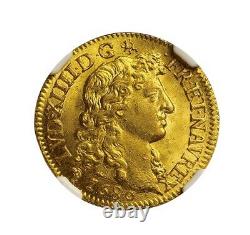 Louis XIV Louis d'or à la Tête virile 1680 Lyon NGC MS66 Fleur de coin+++