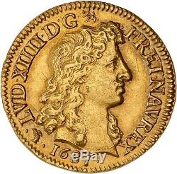Louis d'or à la tête virile 1681 D Lyon très rare SUP à FDC brillant de frappe