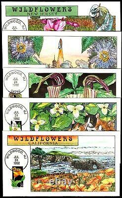 US #2647-2696 29c Wildflowers. Collins Hand Painted Cachet (50)